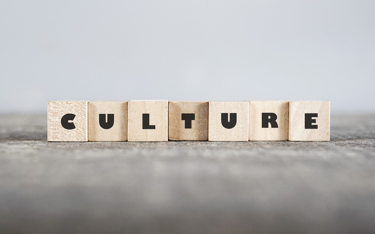 Understanding and Developing Organisational culture to drive companies success
